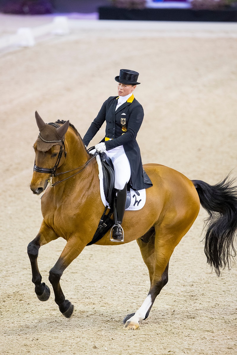 World Cup Dressage: Last chance to qualify