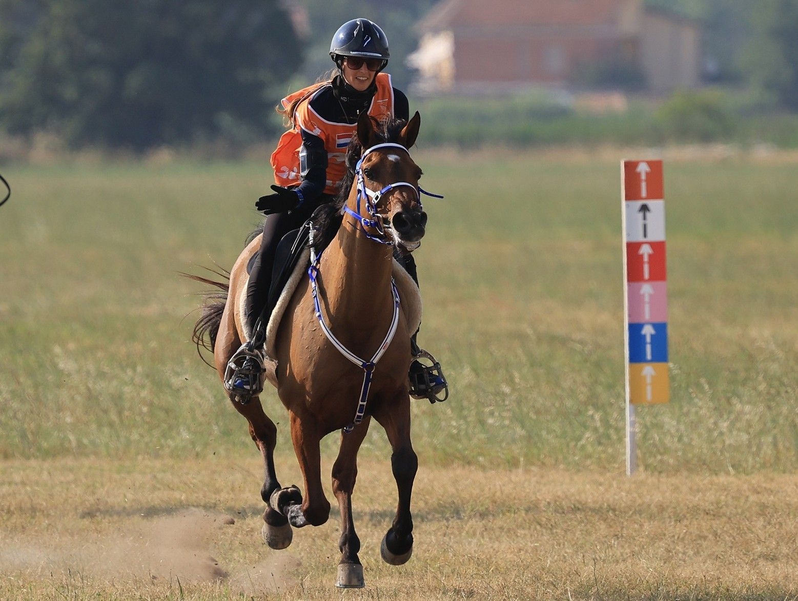Marijke Visser Ruiter van het Jaar 2025
