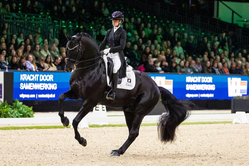 Glamourdale After All to The Dutch Masters